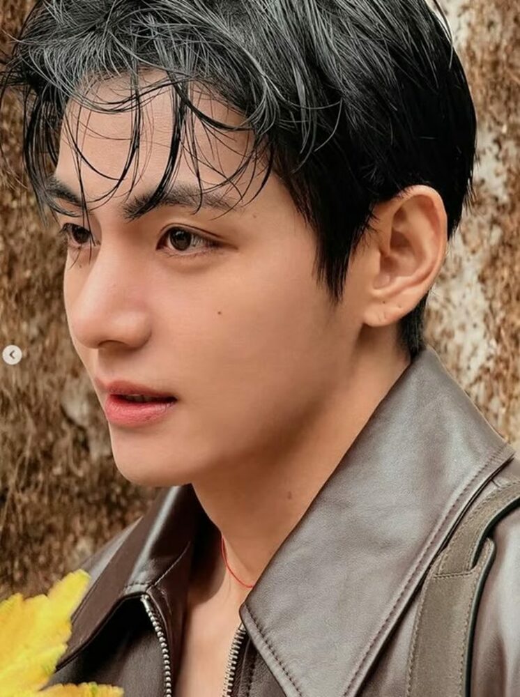 BTS V、秋のグラビアで世界を魅了 写真枚 国際ニュース：AFPBB News