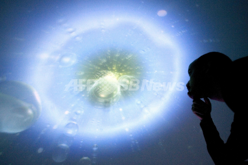 森万里子、オランダで回顧展を開催 - オランダ