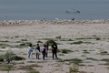 メキシコ・ハリスコ州のチャパラ湖で、元の位置から約200m引いた湖岸を歩く観光客（2024年6月6日撮影）。(c)Ulises Ruiz / AFP