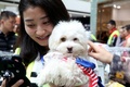 ボランティアに抱えられ、飼い主を待つ犬（2017年11月12日撮影）。(c)CNS/張海雯