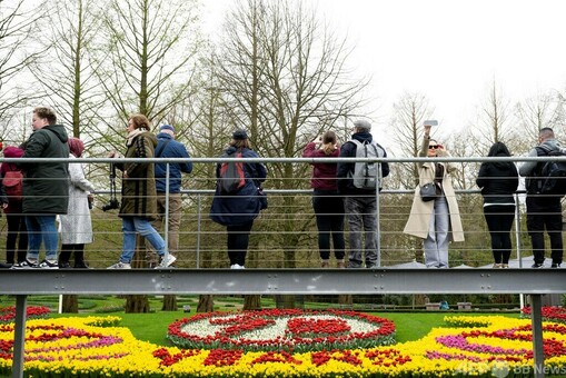 チューリップ・ガーデン Amazon.co.jp: Grokebo ソーラーライト チューリップ型 ガーデン