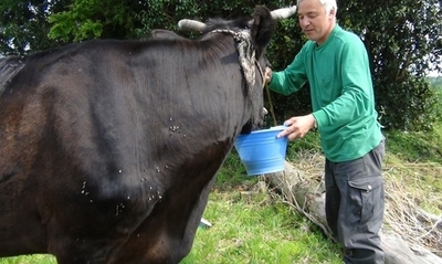 警戒区域に1人住み続ける男性、福島県富岡町