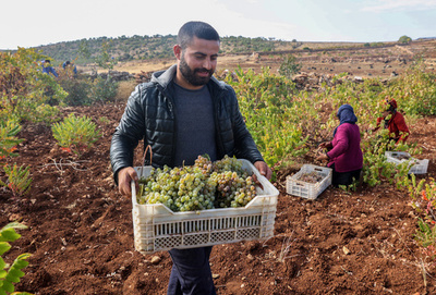 とこしえのワイン造り、自文化を守るトルコ少数民族アッシリア人