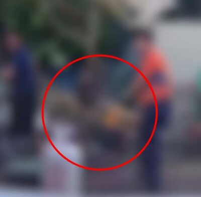 生きた犬を火あぶり、違法食肉解体で男2人を告訴…韓国・清州の動物保護団体が厳罰求める
