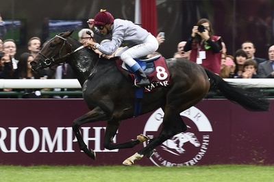 トレヴが凱旋門賞連覇、日本勢はハープスターの6着が最高