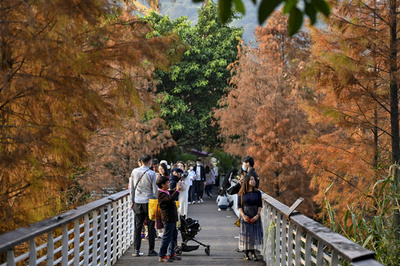 中国がラムサール条約加盟から30年 「地球の腎臓」湿地守る