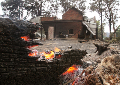 「山火事の原因は送電線」、電力会社を集団訴訟