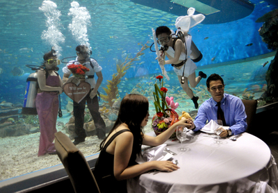 水槽の中心で愛を語る、水族館のバレンタインショー フィリピン
