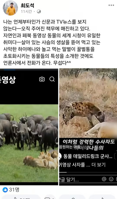 韓国地方議員、弾劾可決を批判？「邪悪なハイエナ」投稿…釈明は「動物ドキュメンタリー見ていただけ」