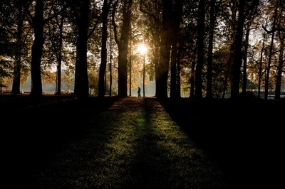 11歳少女と性交の男に無罪評決 フランス