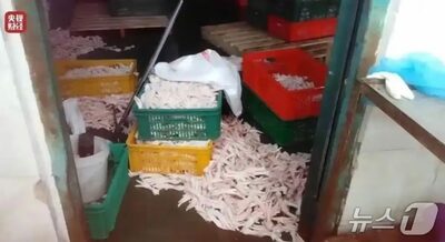 不安広がる中国産「漂白鶏の足」…韓国当局「自国への輸入事例なし」 公式発表
