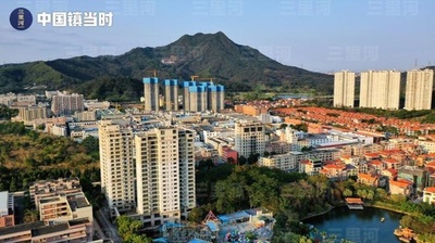 【三里河中国経済観察】深センと東莞の連携で誕生したGDP1000億元の強町