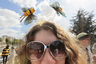 ハチの姿で殺虫剤に抗議、パリ養蜂家団体