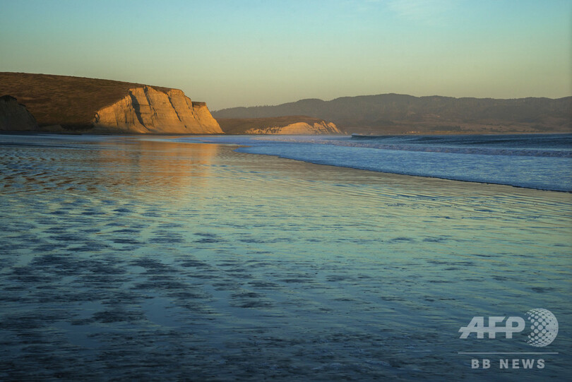 海辺に大量のユムシ 奇妙な形の珍味 米カリフォルニア州 写真2枚 国際ニュース Afpbb News
