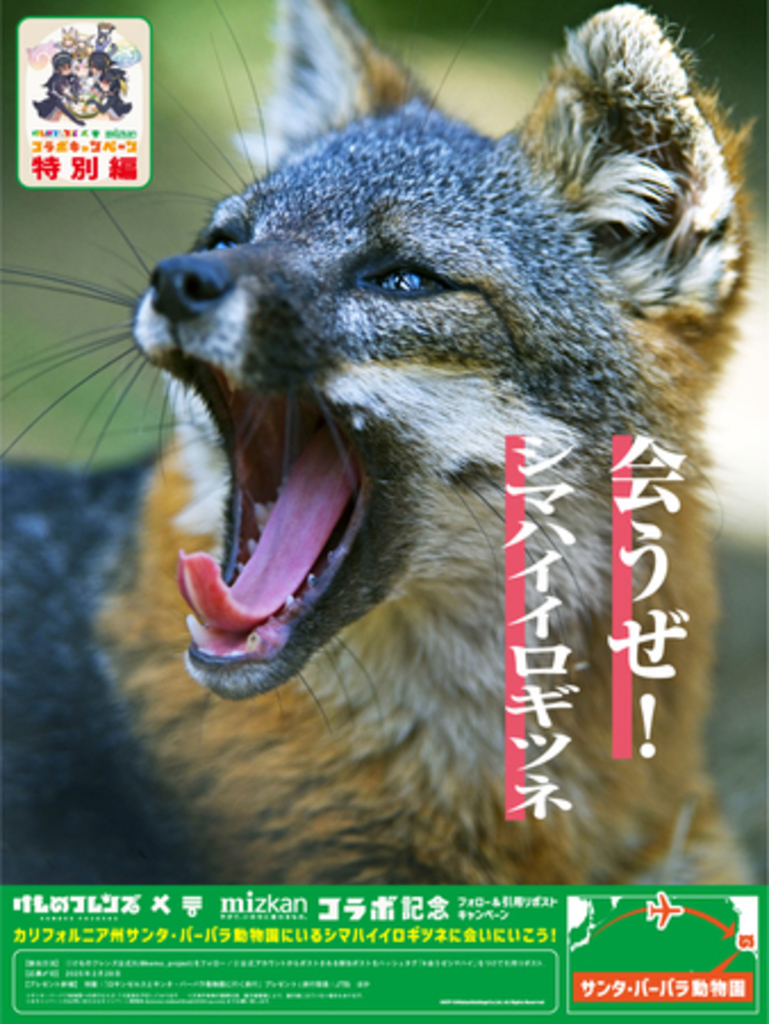 「会うぜ!シマハイイロギツネ」 けものフレンズ×ミツカン鍋つゆ コラボ特別編!SNSキャンペーン解禁!