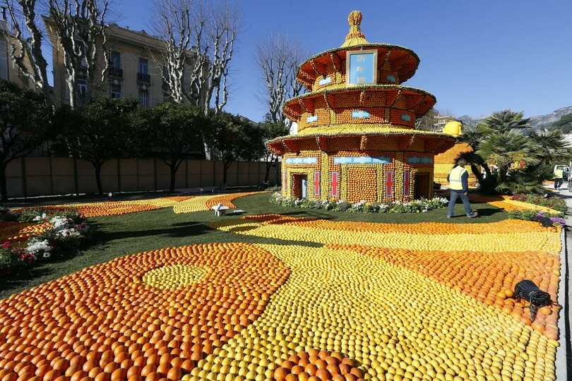 恒例の「レモン祭り」開催迫る、南仏