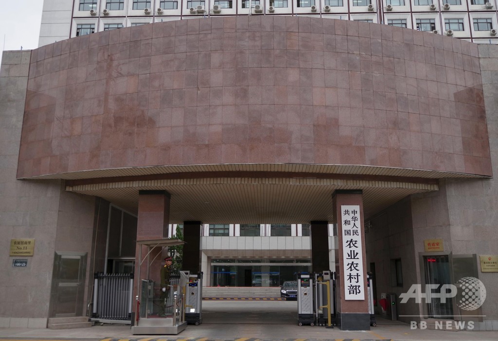 違法輸送中のアフリカ豚コレラに感染したブタを発見 中国・四川 違法輸送中のアフリカ豚コレラに感染したブタを発見 中国・四川