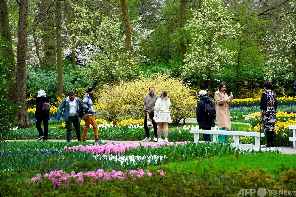 世界最大のチューリップガーデン、今年も開園 オランダ 写真21枚 世界最大のチューリップガーデン、今年も開園 オランダ 写真21枚