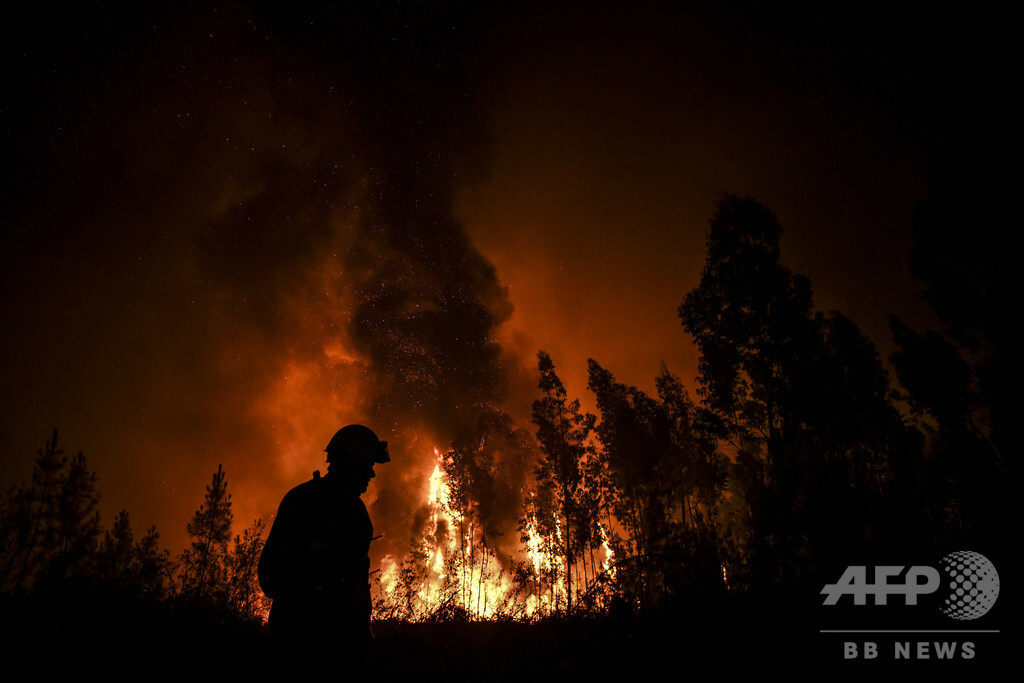 ポルトガル中部で山火事 消防隊員1700人が消火活動 写真10枚 マリ クレール スタイル ムッシュ Marie Claire Style Monsieur