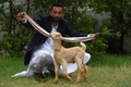 パキスタン南部カラチで、子ヤギのシンバの長い耳を持ち上げる飼い主のモハマド・ハサン・ナレジョさん（2022年7月6日撮影）。(c)Asif HASSAN / AFP
