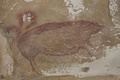 インドネシア・スラウェシ島の洞窟で見つかった、4万5500年以上前に描かれた等身大のイノシシの壁画（撮影日不明）。(c)AFP PHOTO /MAXIME AUBERT/GRIFFITH UNIVERSITY/HANDOUT