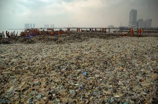 インドネシアの島々で清掃活動、1日当たり40トン超のごみ回収
