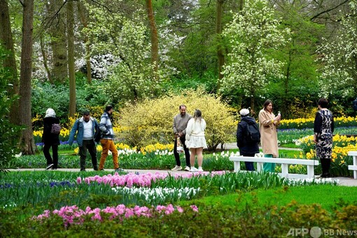 世界最大のチューリップガーデン、今年も開園 オランダ 写真21枚