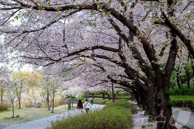 カメラを構えれば「特別な1枚」…ソウル市が誇る「魅力のフォトスポット」