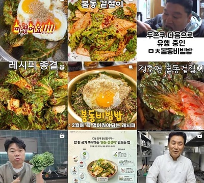 韓国SNSで拡散「春キャベツ混ぜご飯」ブーム…価格高騰も追い風に