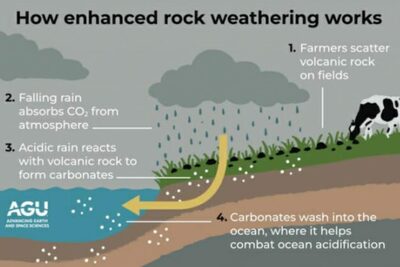 「玄武岩を砕いて田畑に撒けば炭素削減」…MSも注目