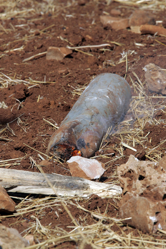 ヨルダン川西岸に発射物、ユダヤ人入植者によるものか？イスラエル側は否定