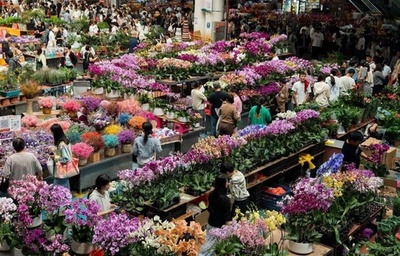 活況を呈する生花産業・中国