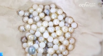中国最大の砂漠で真珠養殖に成功