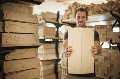 ギターの音色にも影響か 温暖化で楽器用木材に危機