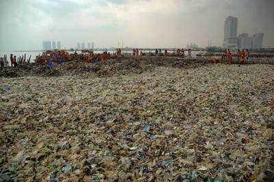 インドネシアの島々で清掃活動、1日当たり40トン超のごみ回収