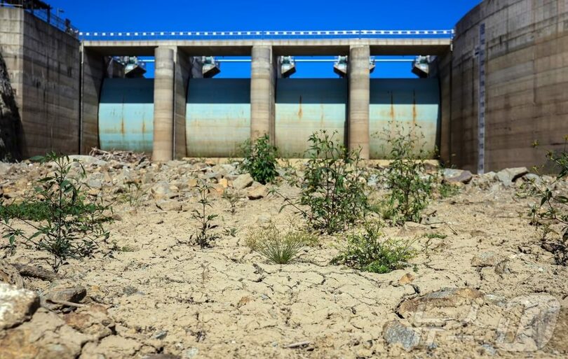 夏の干ばつ時に干上がった江原道江陵市・五峰貯水池の様子(c)news1