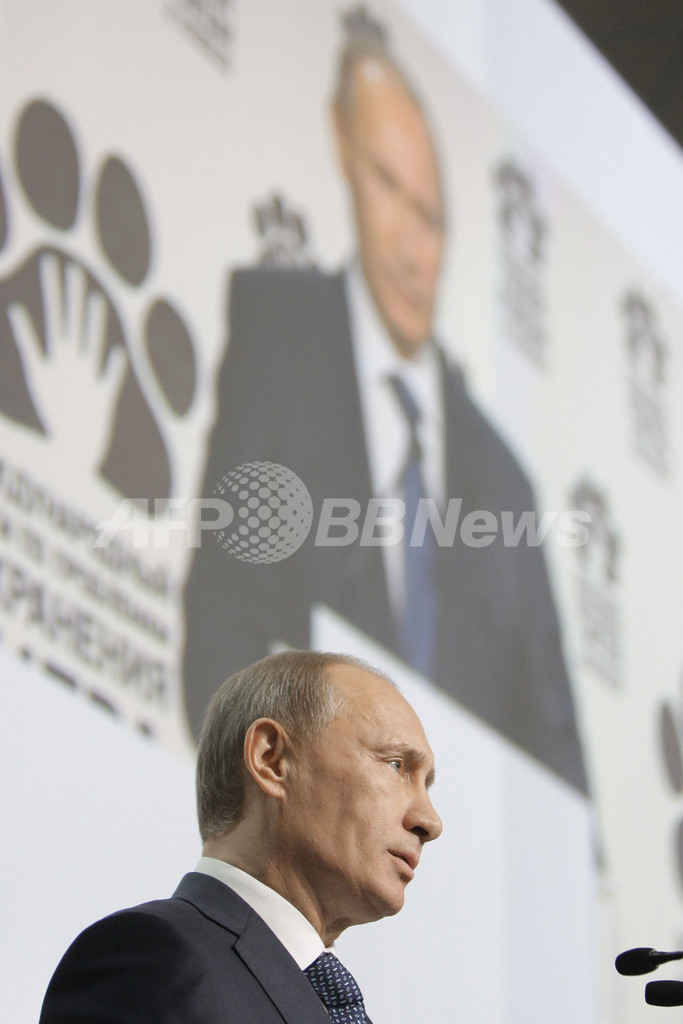 プーチン露首相、「世界トラ・サミット」で危機感訴える