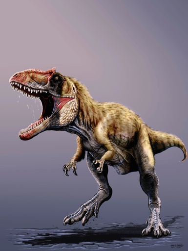 ティラノサウルス類も恐れた大型肉食恐竜、米国で化石発見 写真2枚 