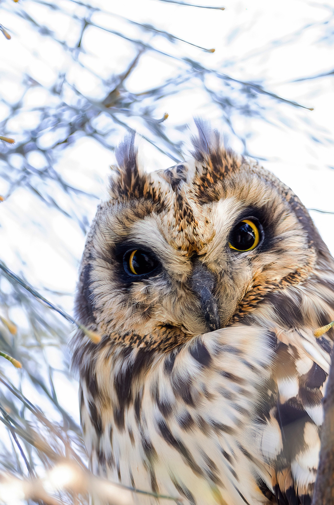 中国福建省で湿地環境が改善 写真11枚 国際ニュース：AFPBB News