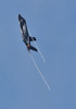 仏パリ郊外で開かれた航空ショーで展示飛行する米ロッキード・マーチンの戦闘機F35（2017年6月21日撮影）。(c)CHRISTOPHE ARCHAMBAULT / AFP