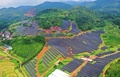 湖南省永州市藍山県内にある南嶺太陽光発電所（撮影日不明）。(c)People’s Daily/黄春濤