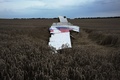 ウクライナ東部のシャフチョルスク（Shaktarsk）近くに墜落したマレーシア航空（Malaysia Airlines）機の残骸（2014年7月17日撮影）。(c)AFP/DOMINIQUE FAGET