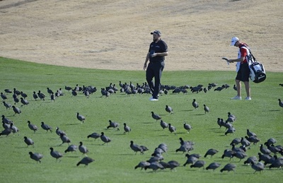 ファウラーとデシャンボーが首位タイ、松山は負傷で棄権 フェニックスOP