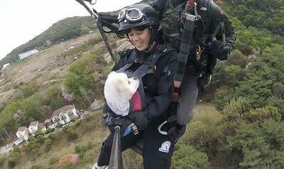 2度見捨てられた犬、絆のフライト…韓国・大病乗り越え、飼い主とパラグライダー