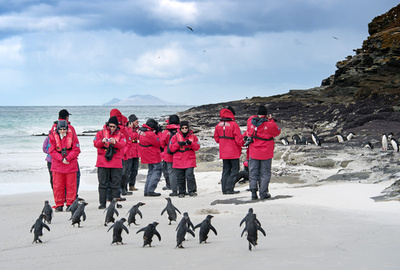 中国人南極旅行者、25%増 米国に次ぐ多さ