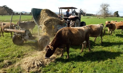 同郷移民を25年間「奴隷」に、サモア人首長に禁錮11年 NZ