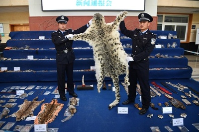 ユキヒョウの毛皮、サイの角など希少種関連製品の押収品702点公開 昆明