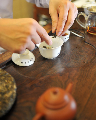 世界最古のチャノキ、2100年前の中国皇帝の墓で発見