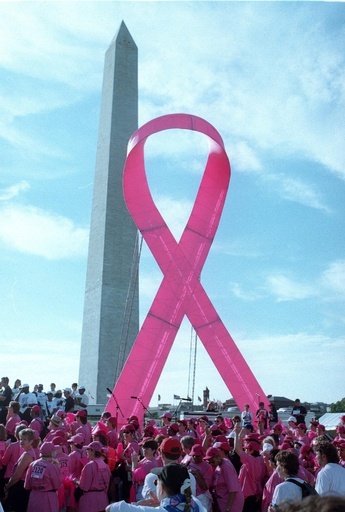 乳がんと環境的要因の関連、複数の意外な発見 米研究