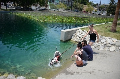 米南西部で記録的な猛暑、一部地域で観測史上最高になる可能性も